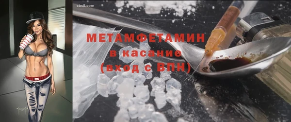 ПСИЛОЦИБИНОВЫЕ ГРИБЫ Осташков
