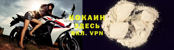 ПСИЛОЦИБИНОВЫЕ ГРИБЫ Осташков