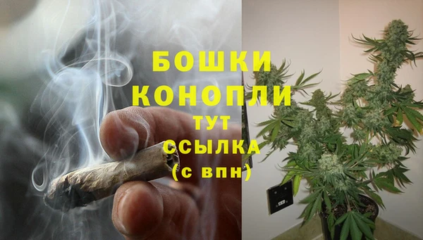 дурь Осинники