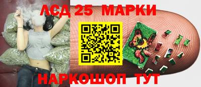 прущие крисы Гусиноозёрск