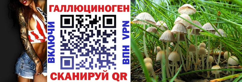 где купить наркоту  Конаково  Псилоцибиновые грибы Magic Shrooms 