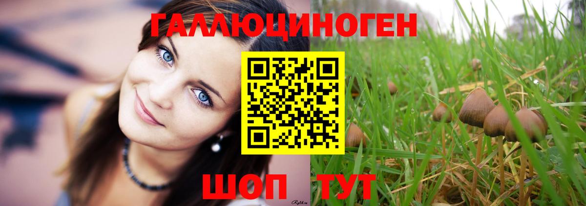 Псилоцибиновые грибы мухоморы Конаково